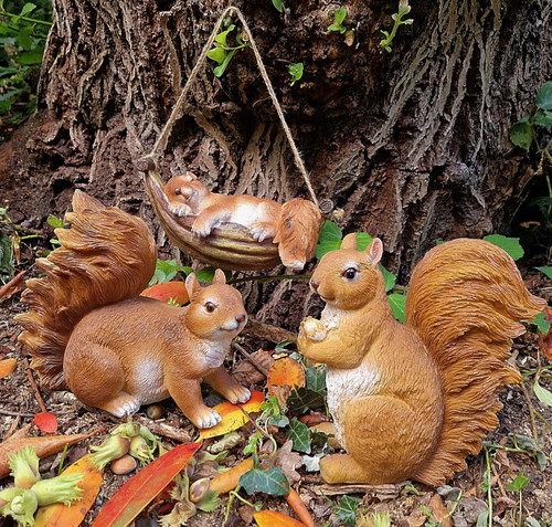 Eichhörnchen sitzend od - ❀,