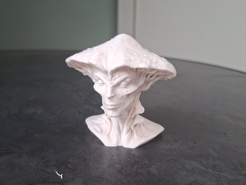 Mycelium queen fantasie - mycelium,