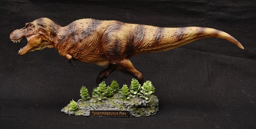 Tyrannosaurus 35 - tyrannosaurus, 1:35