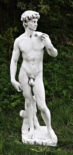 David von michelangelo adonis - david,